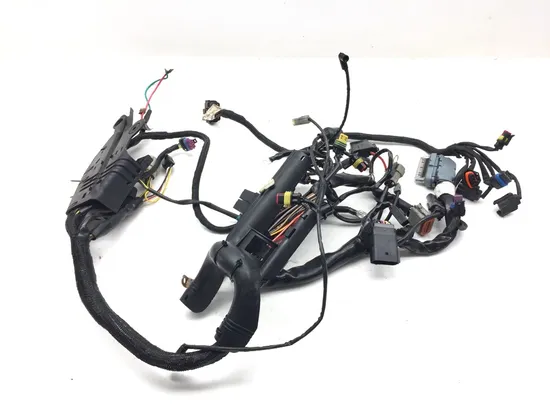 Main Engine Wiring Harness 2007 Harley Sportster 1200 Custom XL1200C 3132 PARTS