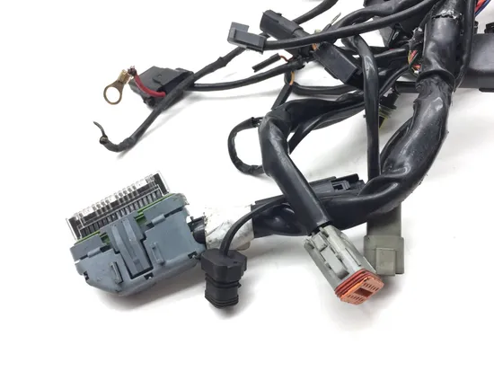 Main Engine Wiring Harness 2007 Harley Sportster 1200 Custom XL1200C 3132 PARTS