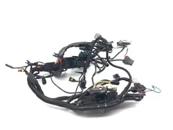 Main Engine Wiring Harness 2007 Harley Sportster 1200 Custom XL1200C 3132 PARTS