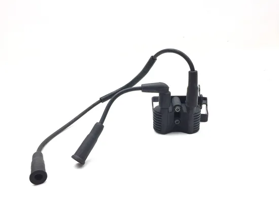 Ignition Coil Set 2007 Harley-Davidson Sportster 1200 Custom XL1200C 3132