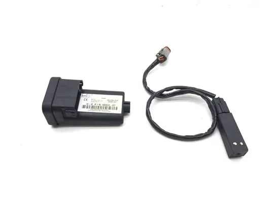 Turn Signal Security Module 2007 Harley Sportster 1200 Custom XL1200C 3132