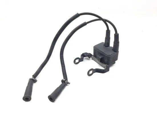 Ignition Coil Set 2007 Harley-Davidson Sportster 1200 Custom XL1200C 3133