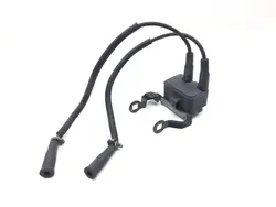 Ignition Coil Set 2007 Harley-Davidson Sportster 1200 Custom XL1200C 3133