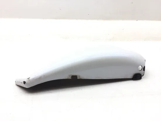 Left Side Cover 2007 Harley-Davidson Sportster 1200 Custom XL1200C 3133 x