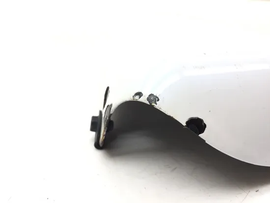 Left Side Cover 2007 Harley-Davidson Sportster 1200 Custom XL1200C 3133 x