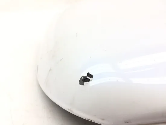 Left Side Cover 2007 Harley-Davidson Sportster 1200 Custom XL1200C 3133 x