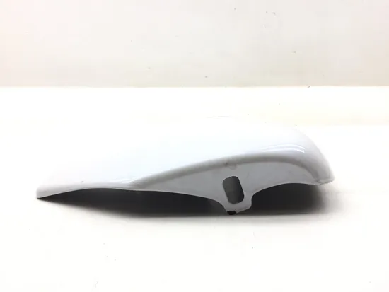 Right Side Cover 2007 Harley-Davidson Sportster 1200 Custom XL1200C 3133 x