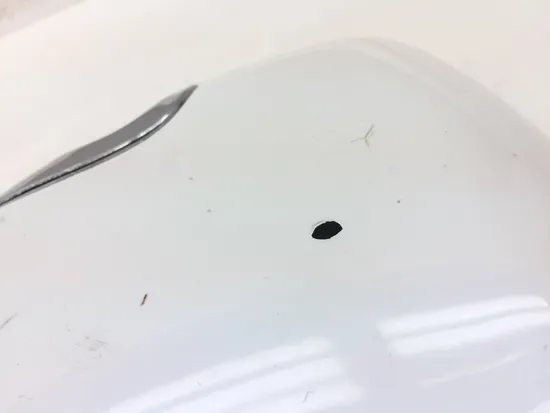 Right Side Cover 2007 Harley-Davidson Sportster 1200 Custom XL1200C 3133 x