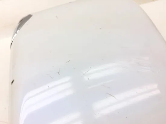 Right Side Cover 2007 Harley-Davidson Sportster 1200 Custom XL1200C 3133 x