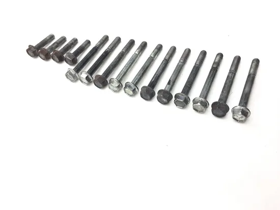 Engine Left Right Center Case Bolts 2007 Harley Sportster 1200 Custom 3133