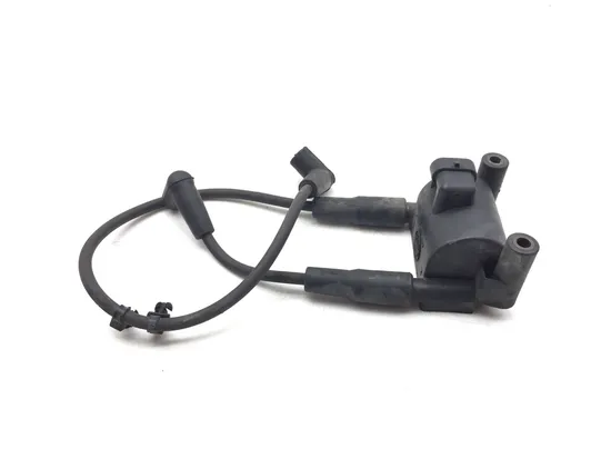 Ignition Coil Set 2007 Harley-Davidson Softail Standard FXST 3139