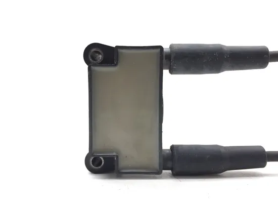 Ignition Coil Set 2007 Harley-Davidson Softail Standard FXST 3139