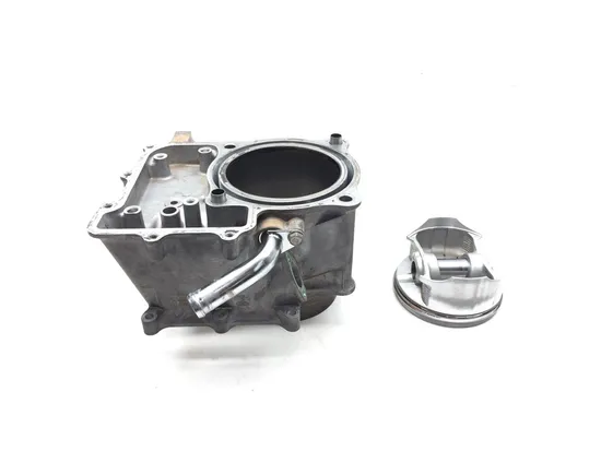 Engine Cylinder Jug W Piston 2014 Honda Pioneer 700 SXS700M2 3148