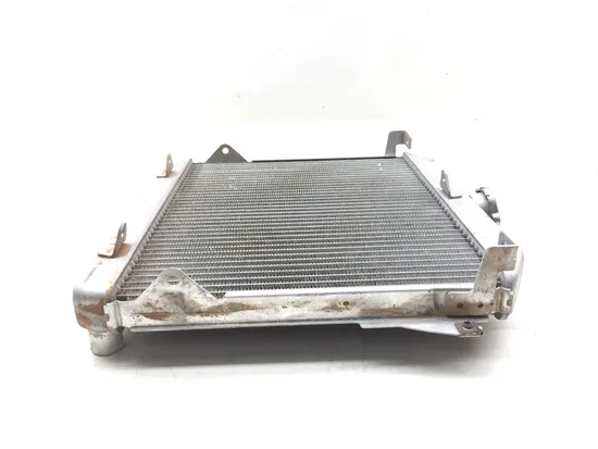 Engine Radiator Cooling 2014 Honda Pioneer 700 SXS700M2 3148