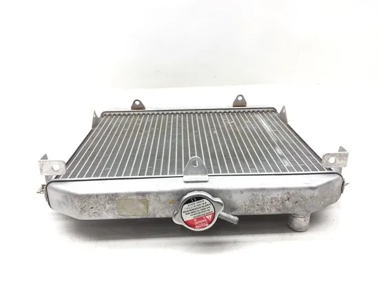 Engine Radiator Cooling 2014 Honda Pioneer 700 SXS700M2 3148
