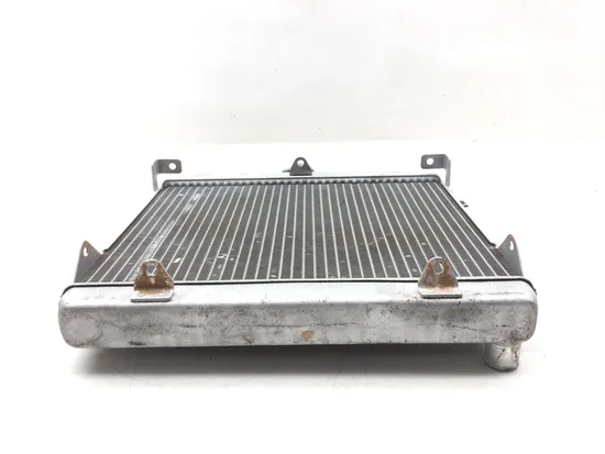 Engine Radiator Cooling 2014 Honda Pioneer 700 SXS700M2 3148