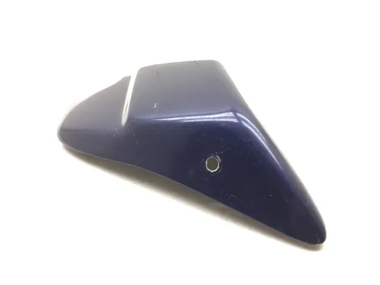 Right Side Cover 1999 Harley-Davidson Road King FLHR 3114 x