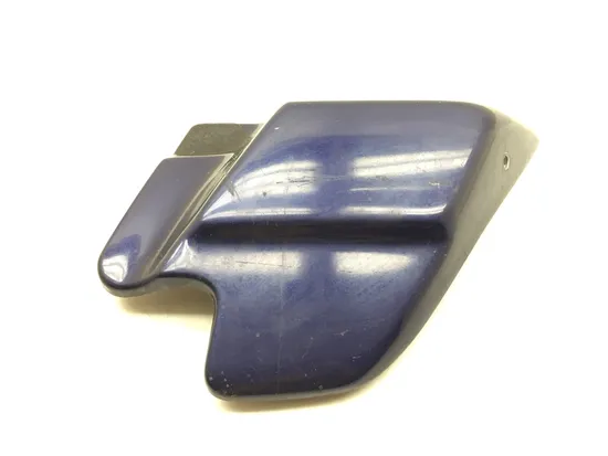 Right Side Cover 1999 Harley-Davidson Road King FLHR 3114 x