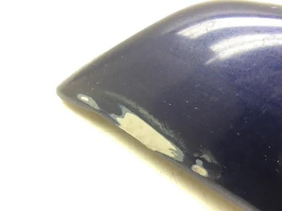 Right Side Cover 1999 Harley-Davidson Road King FLHR 3114 x