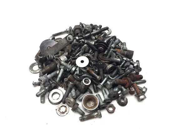 Misc Bolt Kit 1999 Harley-Davidson Road King FLHR 3114