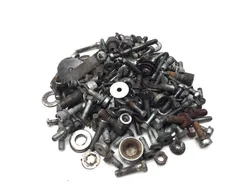 Misc Bolt Kit 1999 Harley-Davidson Road King FLHR 3114