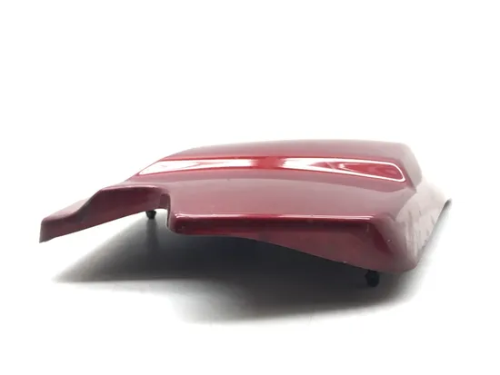 Right Side Cover 2009 Harley-Davidson Road King FLHR 3135 x