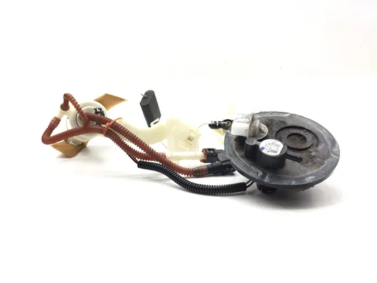 Gas Fuel Tank Pump 2009 Harley-Davidson Road King FLHR 3135