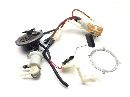 Gas Fuel Tank Pump 2009 Harley-Davidson Road King FLHR 3135