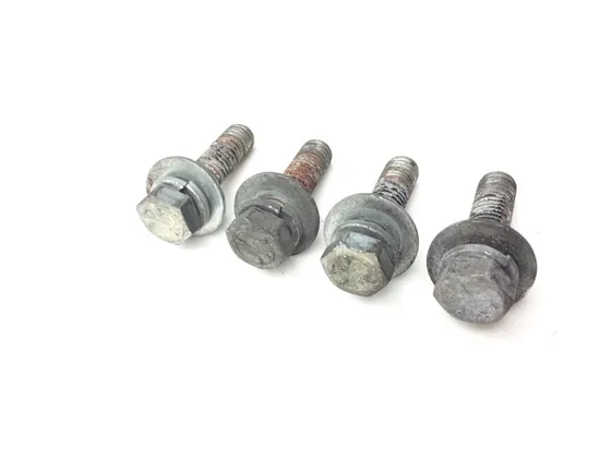 Shock Bolts 2009 Harley-Davidson Road King FLHR 3135