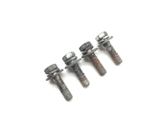 Shock Bolts 2009 Harley-Davidson Road King FLHR 3135