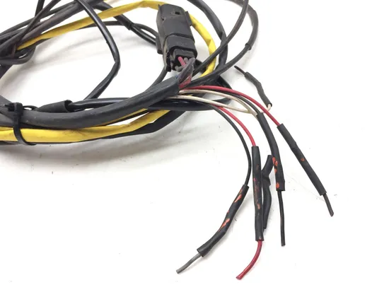 Throttle Grip Sensor 2009 Harley-Davidson Road King FLHR 3135 x