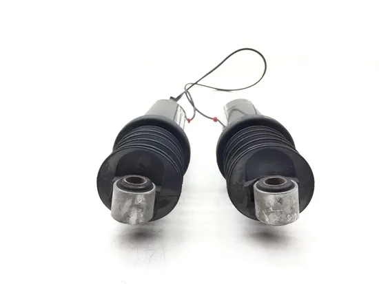 Rear Shocks Suspension 2009 Harley-Davidson Road King FLHR 3135