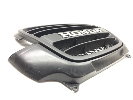Engine Radiator Grill Guard 2012 Honda Big Red 700 MUV700 3141