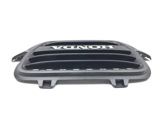 Engine Radiator Grill Guard 2012 Honda Big Red 700 MUV700 3141