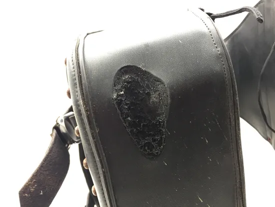 Saddlebags 2005 Harley-Davidson Dyna Wide Glide FXDWG 3147 x