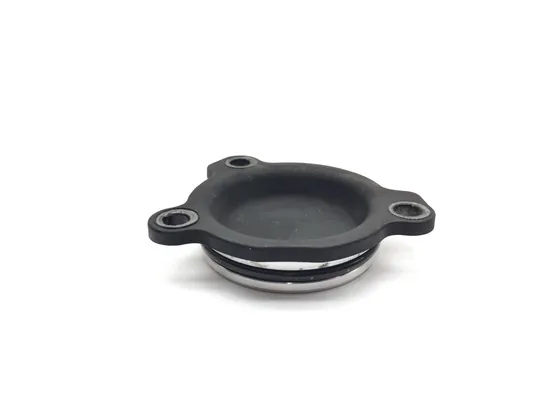 Engine Oil Filter Cover 2009 BMW F800GS 3131