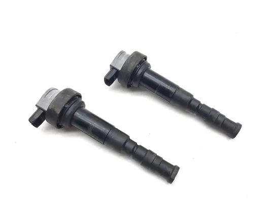 Ignition Coil Set 2009 BMW F800GS 3131