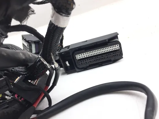 Main Engine Wiring Harness 2009 BMW F800GS 3131