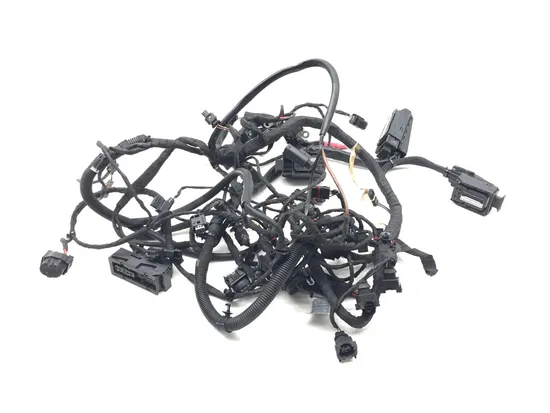 Main Engine Wiring Harness 2009 BMW F800GS 3131