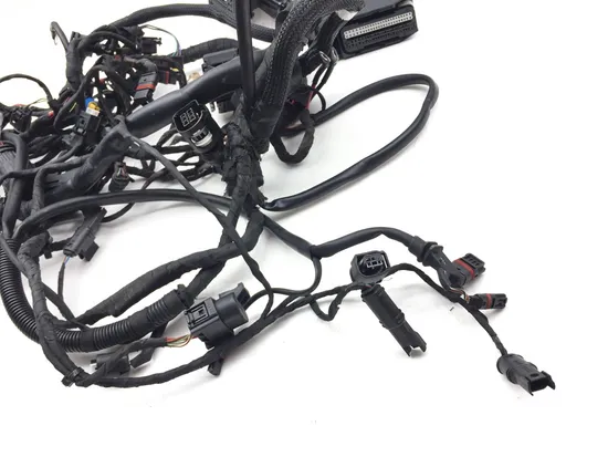 Main Engine Wiring Harness 2009 BMW F800GS 3131