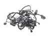 Main Engine Wiring Harness 2009 BMW F800GS 3131