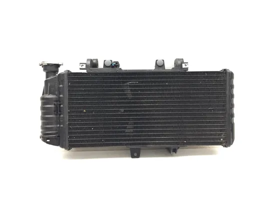 Radiator Cooling Front Fluid with Fan 2009 BMW F800GS 3131 x