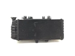 Radiator Cooling Front Fluid with Fan 2009 BMW F800GS 3131 x
