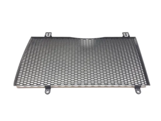 Engine Radiator Grill Guard 2009 BMW F800GS 3131