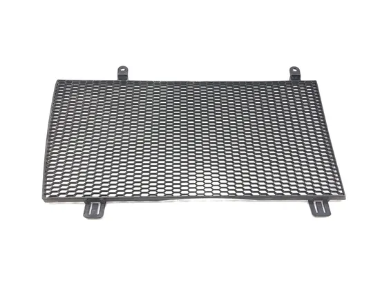 Engine Radiator Grill Guard 2009 BMW F800GS 3131