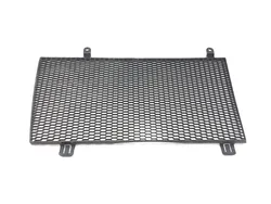 Engine Radiator Grill Guard 2009 BMW F800GS 3131