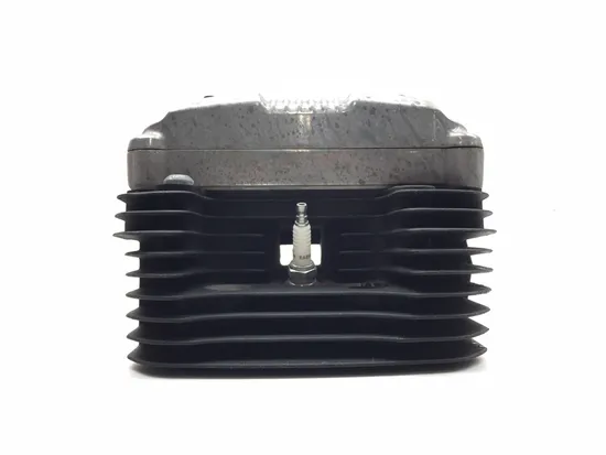 Engine Cylinder Head Complete Rear 2014 Harley-Davidson Forty Eight 48 3153 x 5