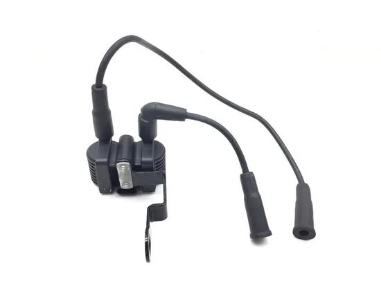 Ignition Coil Set 2014 Harley-Davidson Forty Eight 48 XL1200X 3153