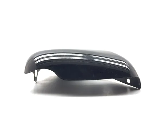 Right Side Cover 2014 Harley-Davidson Forty Eight 48 XL1200X 3153 x