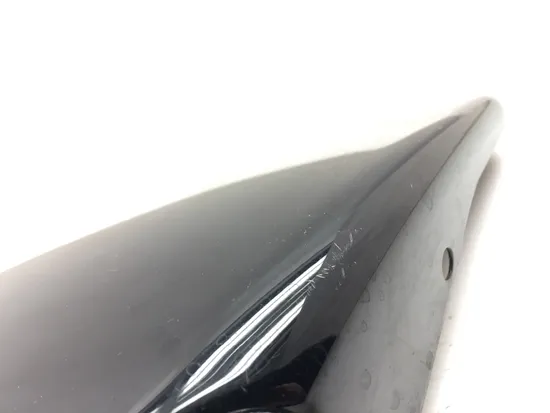 Right Side Cover 2014 Harley-Davidson Forty Eight 48 XL1200X 3153 x